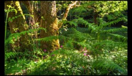 Vallée de la Canceley Vallée de la Canceley