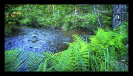 2 rivières- Confluence Sarre et Canceley 2 rivières- Confluence Sarre et Canceley