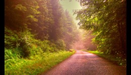 Vallée de la Canceley en 2006 Vallée de la Canceley en 2006