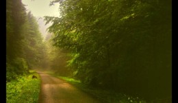 Vallée de la Canceley en 2006 Vallée de la Canceley en 2006