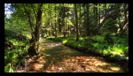 Vallée de la Canceley Vallée de la Canceley