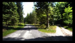 Vallée de la Canceley en 2020 Vallée de la Canceley en 2020