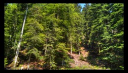 Vallée de la Canceley Vallée de la Canceley