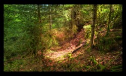 Autrefois, il devait y avoir un passage... Ancien chemin