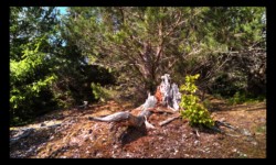 Sur le Feuerstein Sur le Feuerstein