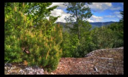 Sur le Feuerstein - Bordure nord Sur le Feuerstein - Bordure nord