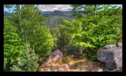Sur le Feuerstein - Bordure nord Sur le Feuerstein - Bordure nord