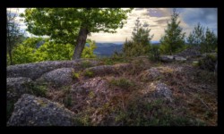 Sur le Feuerstein - Bordure sud Sur le Feuerstein - Bordure sud