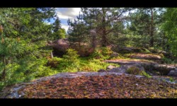 Sur le Feuerstein - Bordure sud Sur le Feuerstein - Bordure sud