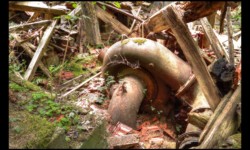 Kleinmuhl- ancienne scierie- système d'alimentation hydraulique Kleinmuhl- ancienne scierie