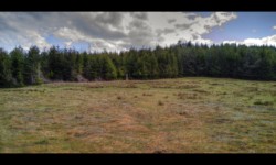 Prairie sous le Feuerstein Prairie sous le Feuerstein