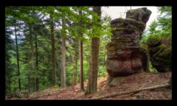 Rocher sur le Meyersberg Rocher sur le Meyersberg