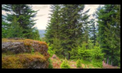 Rocher sur le Meyersberg Rocher sur le Meyersberg