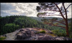 Sur le rocher du Hohwalsch Sur le rocher du Hohwalsch