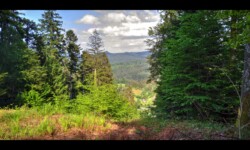 Beimbach Beimbach
