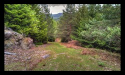 Montée vers Meyersberg Montée vers Meyersberg