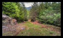 Montée vers Meyersberg Montée vers Meyersberg