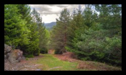 Montée vers Meyersberg Montée vers Meyersberg