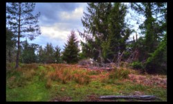 Sur le Meyersberg Sur le Meyersberg