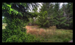 Sur le Meyersberg Sur le Meyersberg