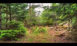 Sur le Meyersberg Sur le Meyersberg