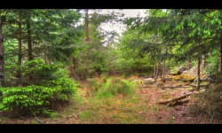 Sur le Meyersberg Sur le Meyersberg