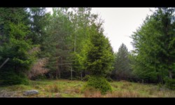 Sur le Meyersberg Sur le Meyersberg