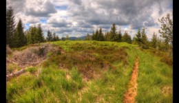 Sur le plateau de La Corbeille Sur le plateau de La Corbeille