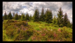 Sur le plateau de La Corbeille Sur le plateau de La Corbeille