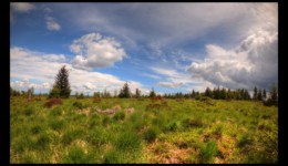 Sur le plateau de La Corbeille. Sur le plateau de La Corbeille.