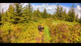Sur le plateau de La Corbeille. Sur le plateau de La Corbeille.