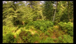Descente vers le col de la croix Brignon Descente vers le col de la croix Brignon