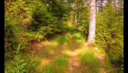 Retour. Un peu avant l'Etoile 1 Retour. Un peu avant l'Etoile 1