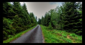 Montée vers le col du Sapin de Marie-Louise Montée vers le col du Sapin de Marie-Louise