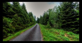 Montée vers le col du Sapin de Marie-Louise Montée vers le col du Sapin de Marie-Louise