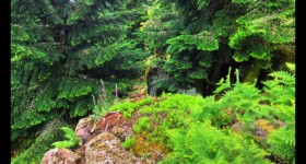 Après le Haut Chaumont Après le Haut Chaumont