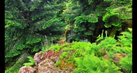 Après le Haut Chaumont Après le Haut Chaumont