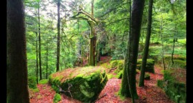 En allant vers Rambiroche En allant vers Rambiroche
