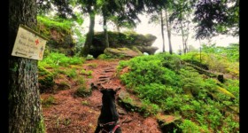 Rambiroche Rambiroche