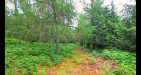 Le Grand Breheux Le Grand Breheux