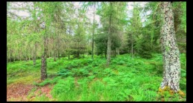 Le Grand Breheux Le Grand Breheux