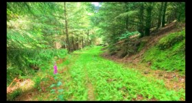 Descente du Grand Breheux Descente du Grand Breheux