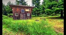 Abri du Sapin de Marie-Louise Abri du Sapin de Marie-Louise