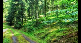 Près du vallon de la Pile Près du vallon de la Pile