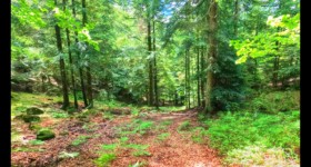 Début du vallon de la Pile, encore sec Vallon de la Pile