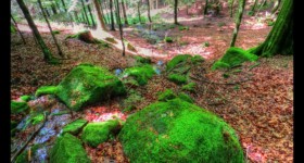 A la source de la Pile A la source de la Pile