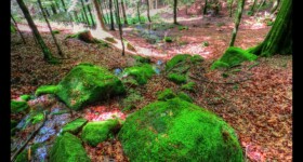 A la source de la Pile A la source de la Pile