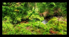 La petite Pile La petite Pile