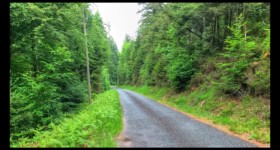 Route forestière de Bousson Route forestière de Bousson