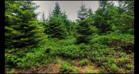 Vers le col de la Sablière Vers le col de la Sablière